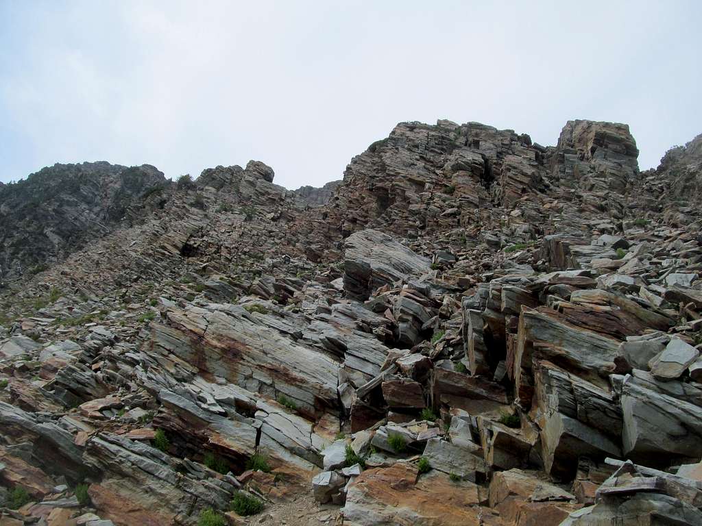 the lower ridge