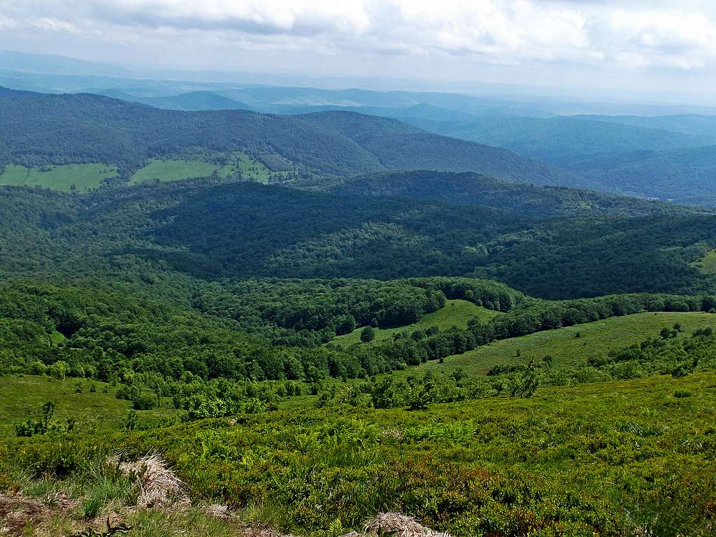 Caryńskie Valley from  Mt. Połonina Caryńska