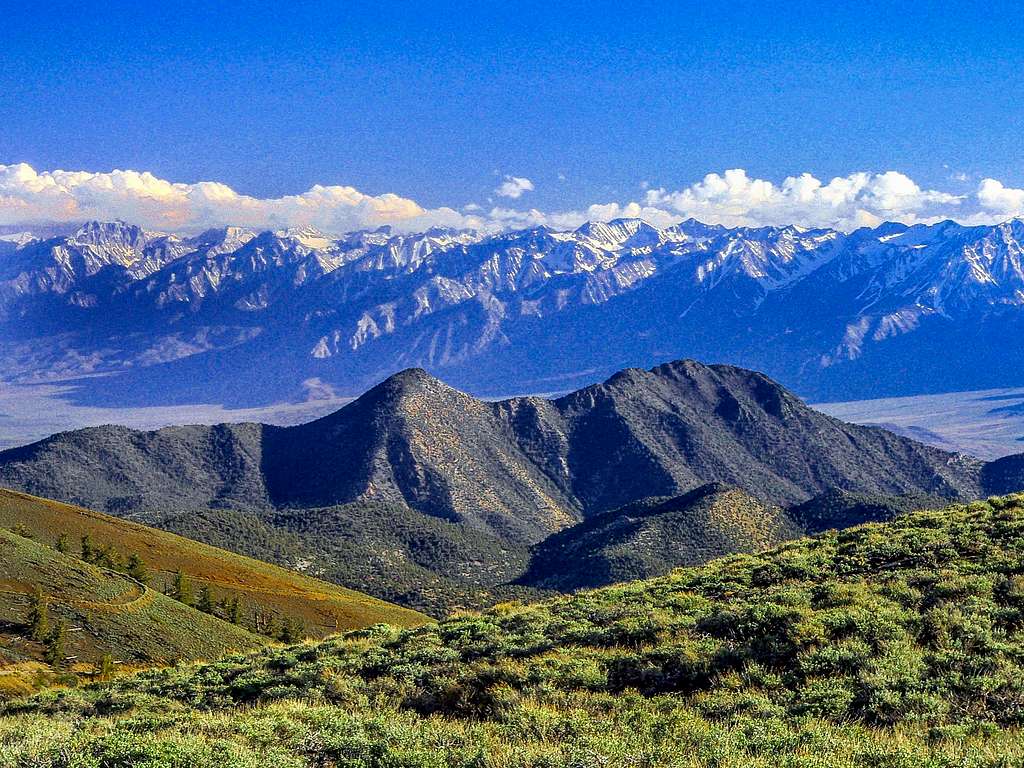 Black Mtn., White Mtns. with the Sierra across Owens Valley