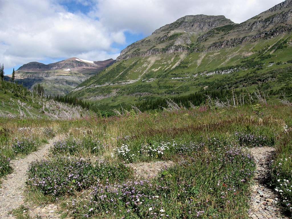 The Intersection of the Brown Pass Trail & the Boulder Pass Trail with Peak 8528 on the Left & Peak 8376 on the Right