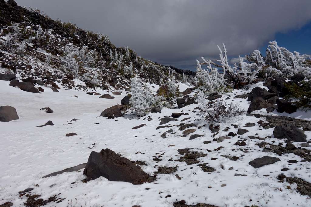 Jefferson's South Ridge at 7800ft