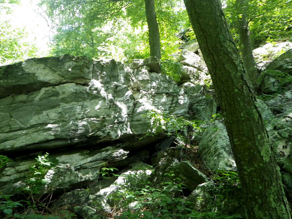 Buzzard Knob Ascent