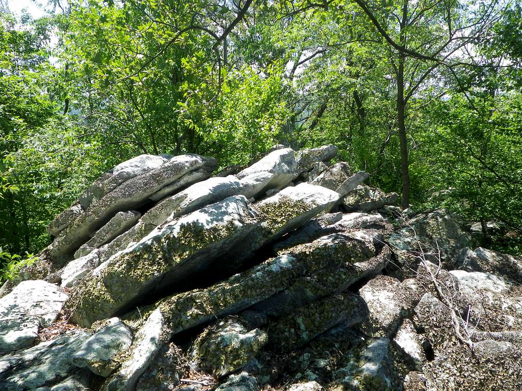 Buzzard Knob