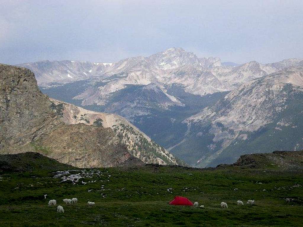 Mountain Goats on Froze-To-Death Plateau