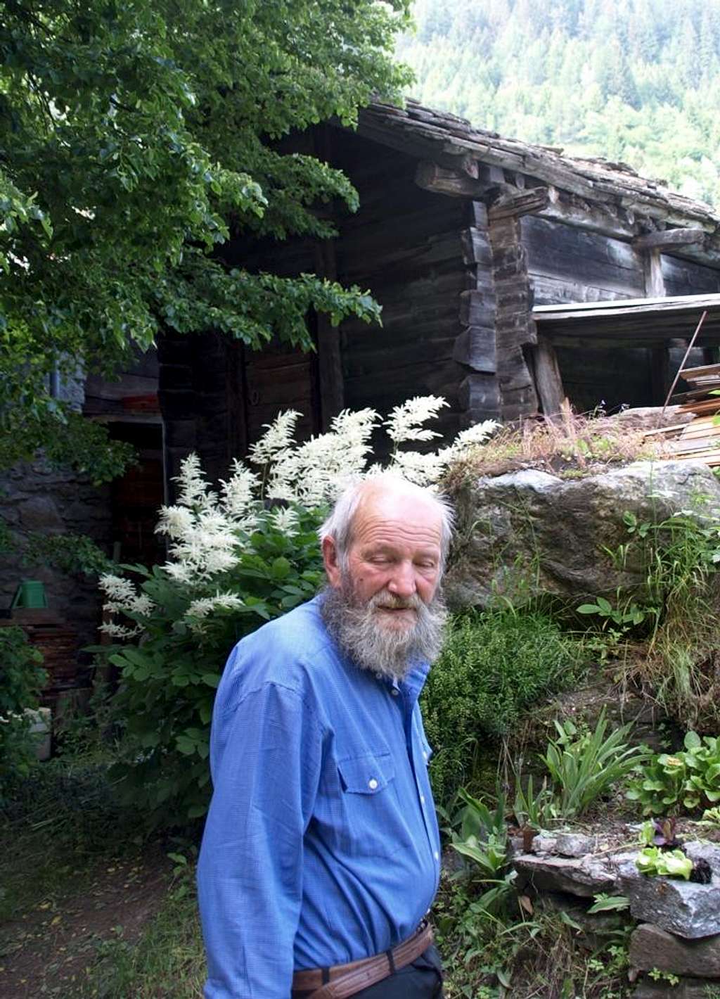 Champorcher Old inhabitant near Chateau Center 2016