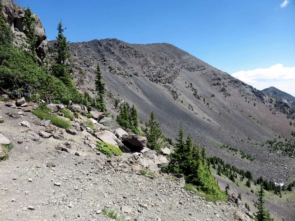 View towards Humphreys Peak summit