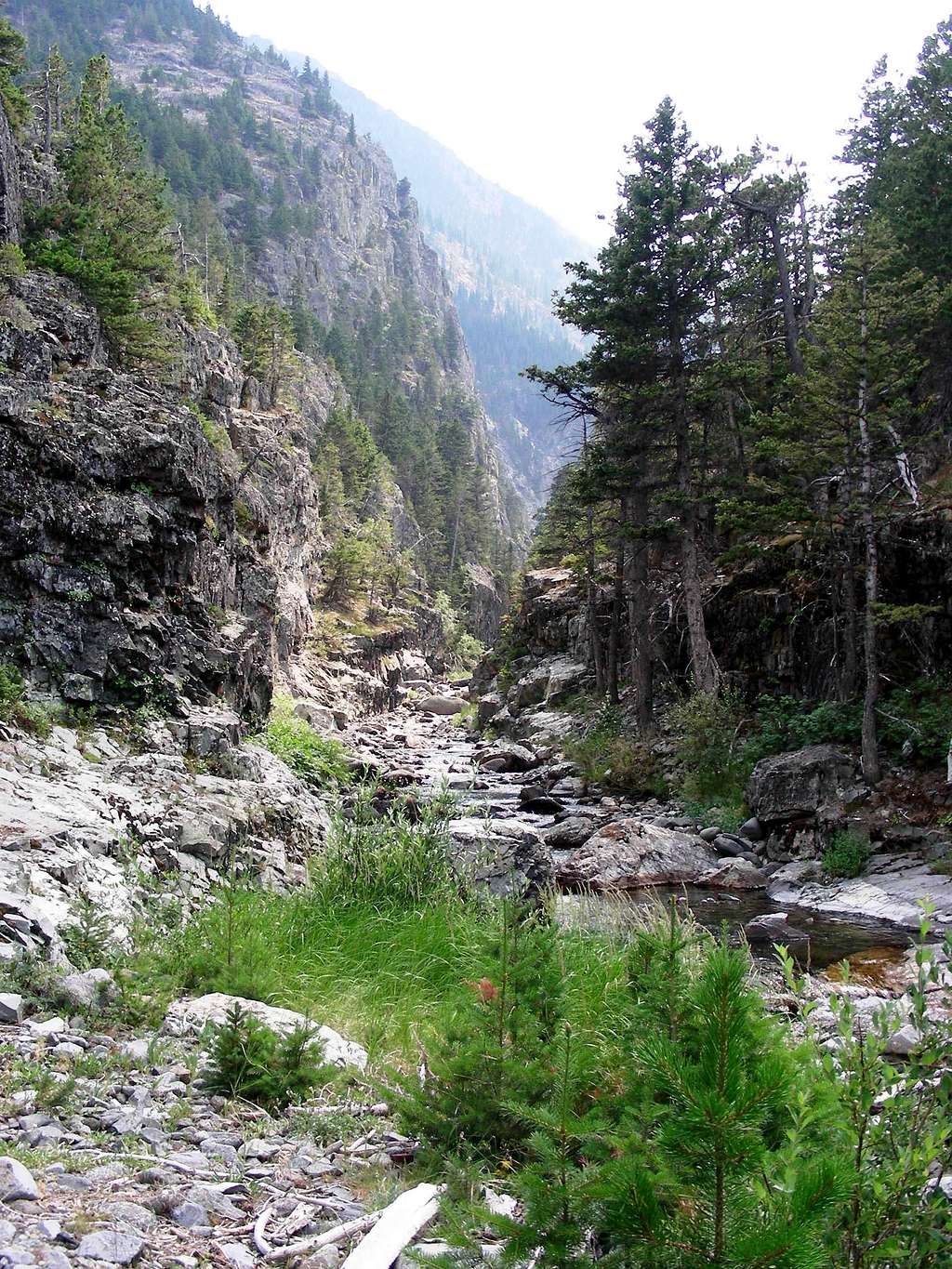 Milly Creek Crossing - Crazy Mountains