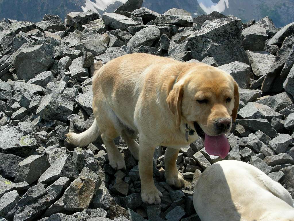 Rocky on Conical Peak