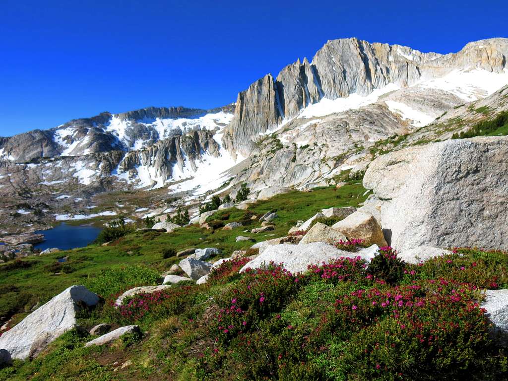 North Peak in Mid-Summer