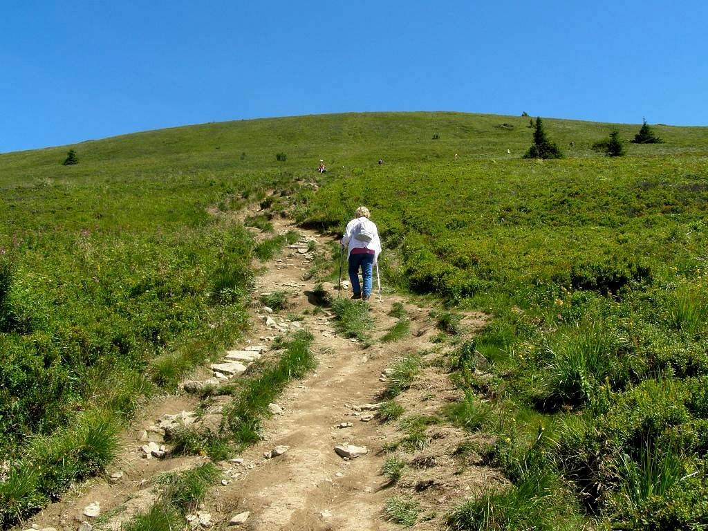 Carynska Meadow - Our hike – July 23, 2016