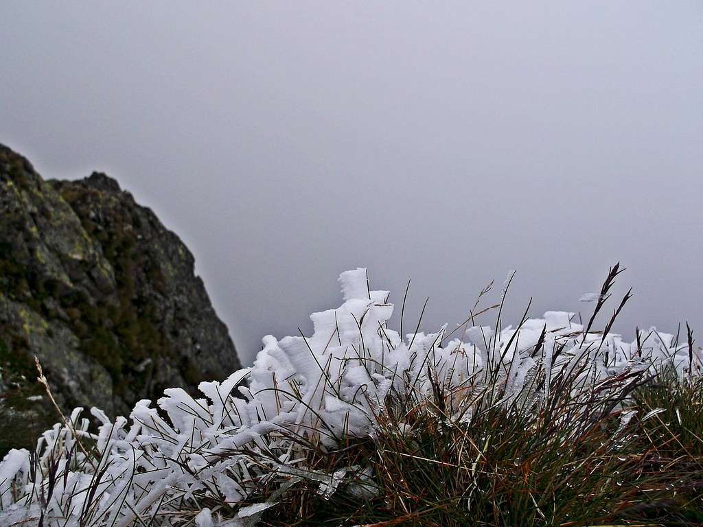 Frost in July on the summit