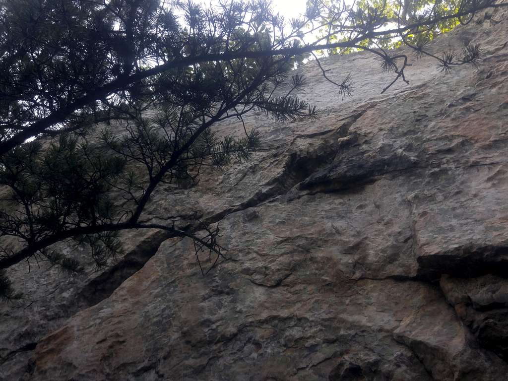 Sherpa Connection (5.8)
