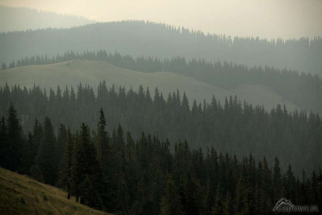 Hazy evening in Suhard mountains