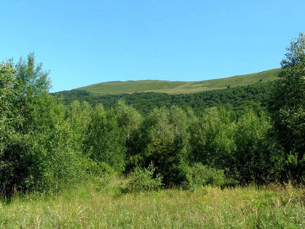 Carynska Meadow - Our hike – July 23, 2016