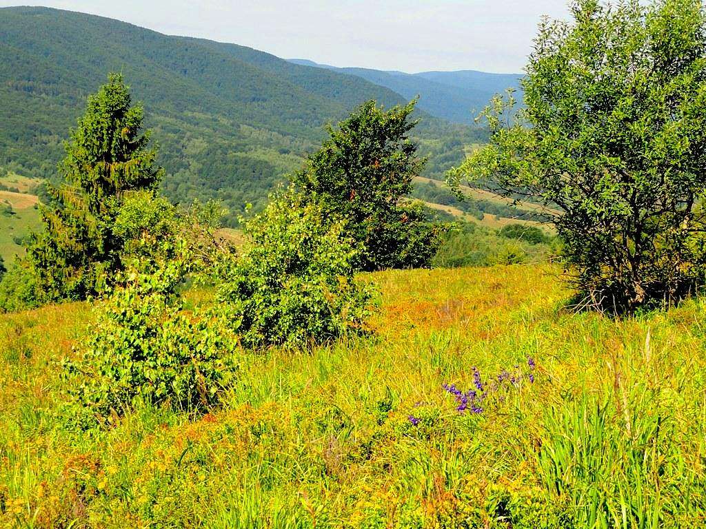 Carynska Meadow - Our hike – July 23, 2016