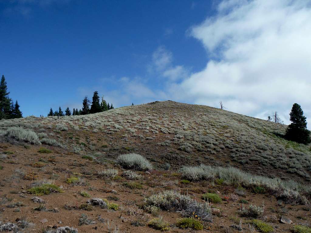 The slopes of Taneum Butte