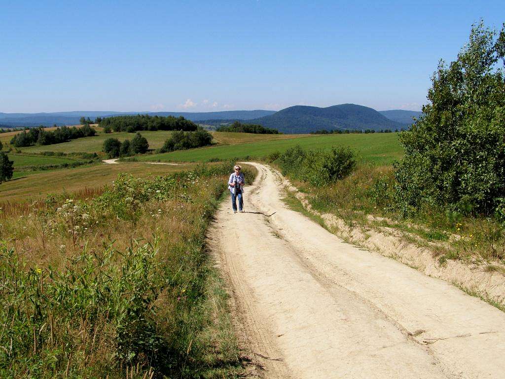 Mount Cergowa    -  view from slope of Mount Przymiarki