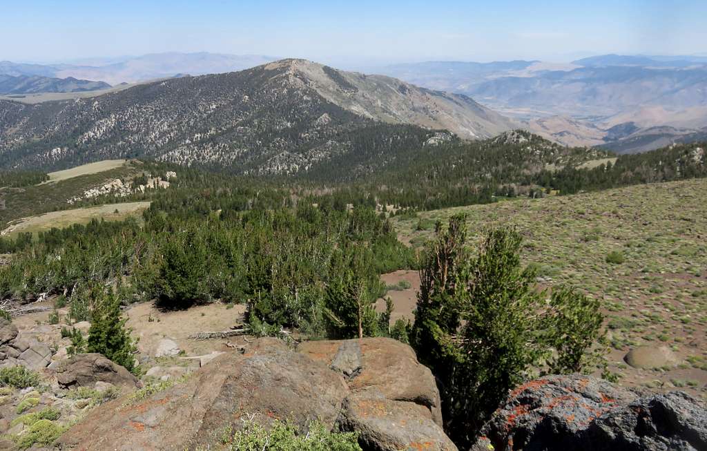 View north to Antelope Peak 10,241'