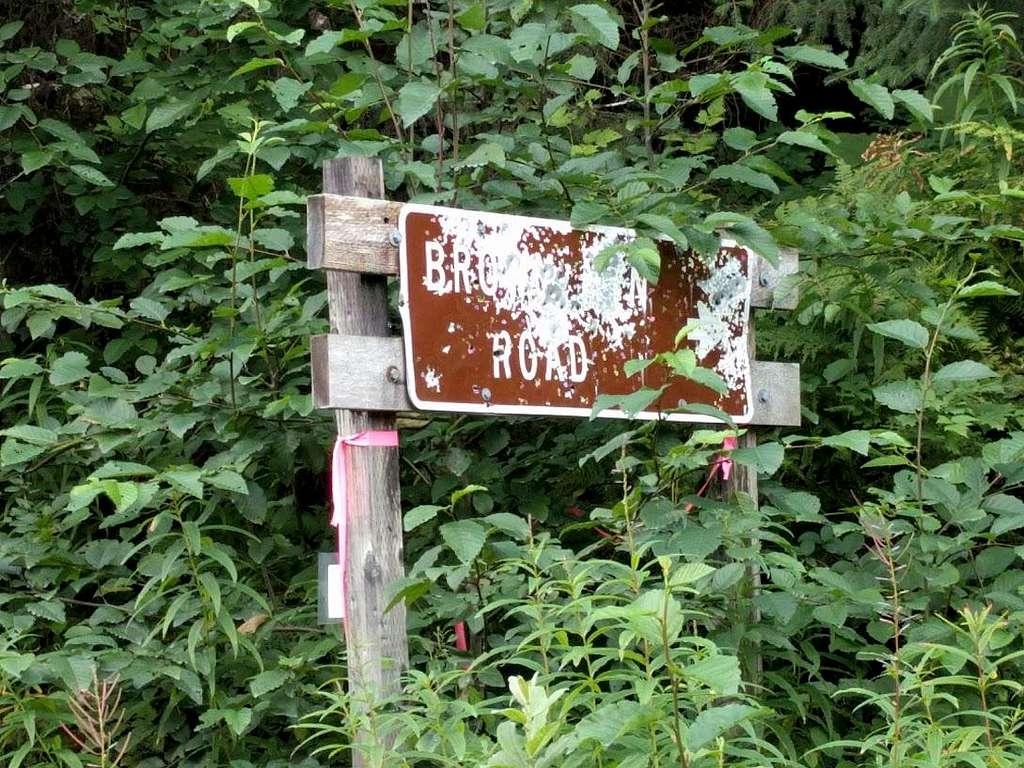 Brown Mountain Road sign