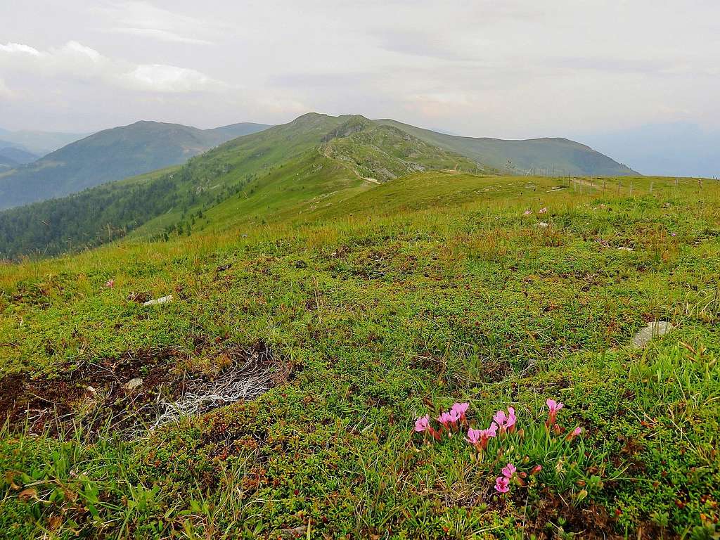 Hochpalennock and Tschierweger Nock