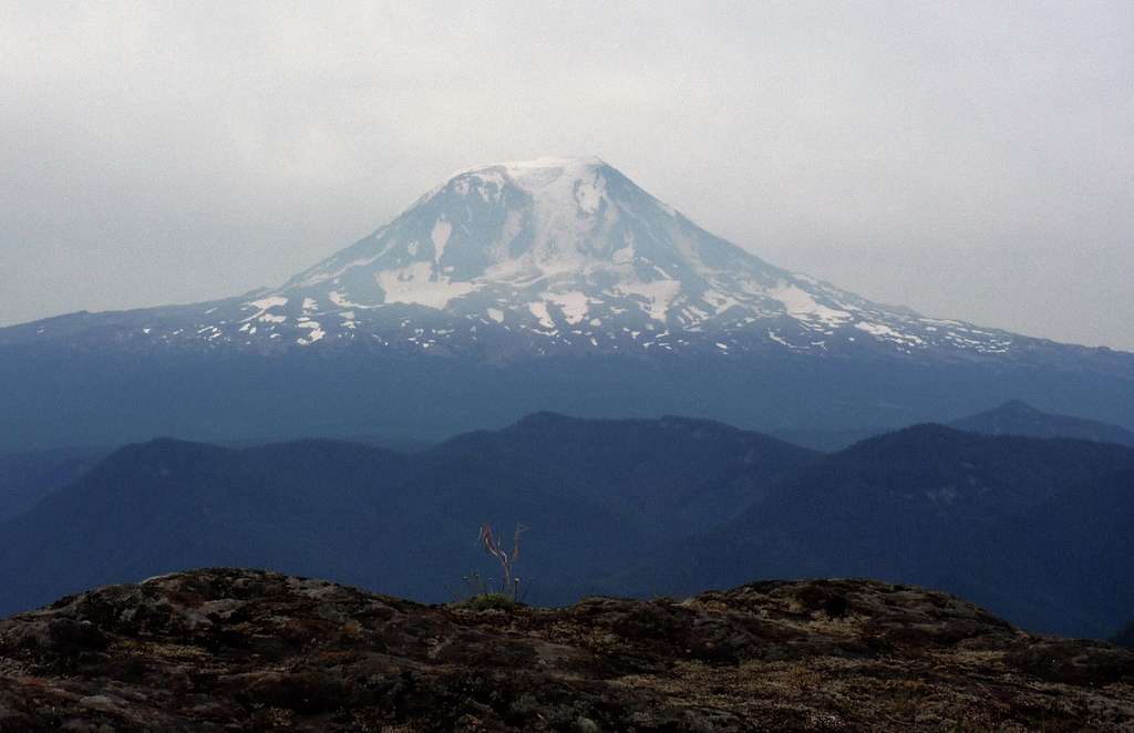 Mount Adams from North Juniper Peak