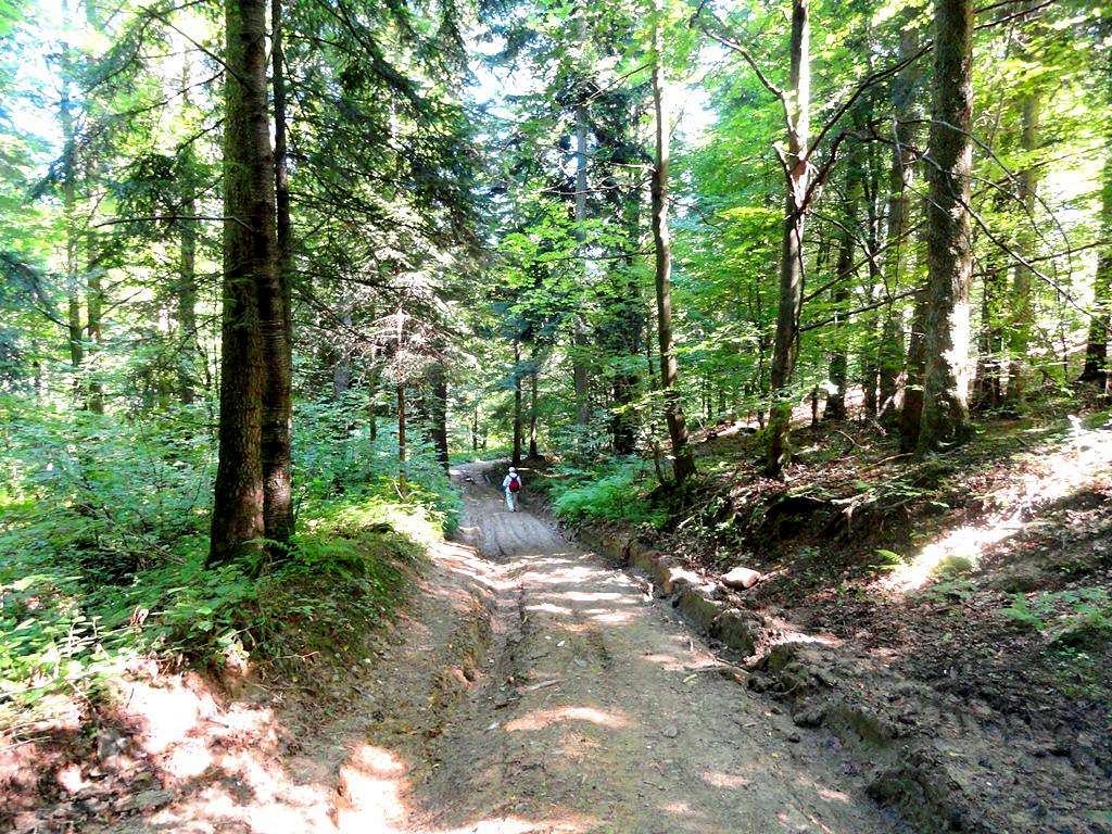 Mount Mogiła - Our hike – August 26, 2016