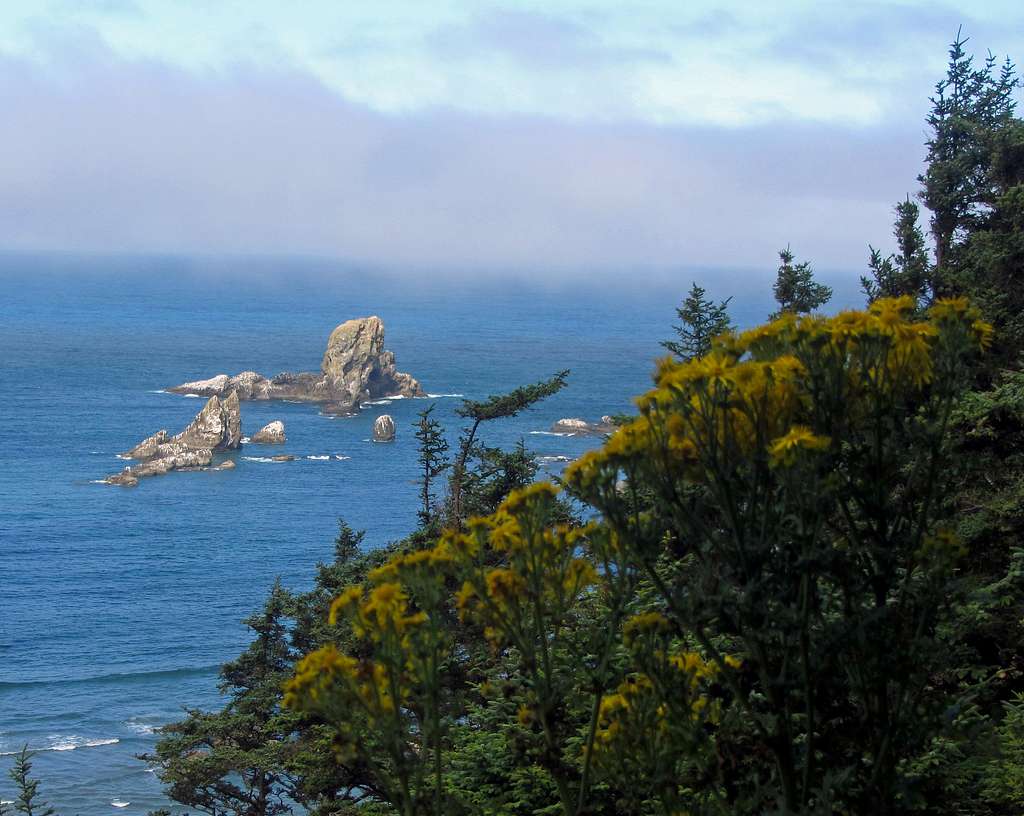 Sea Lion Rock & wildflowers