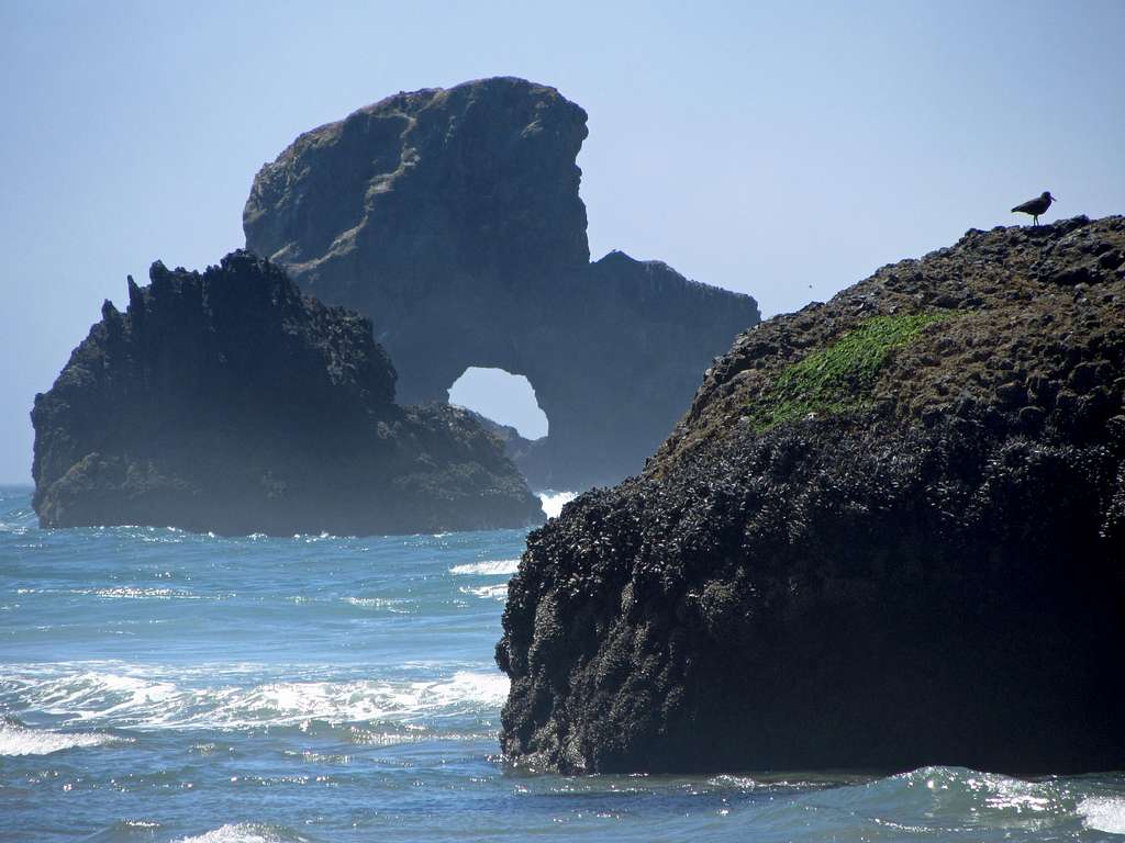 Sea Lion Rock from Indian Beach