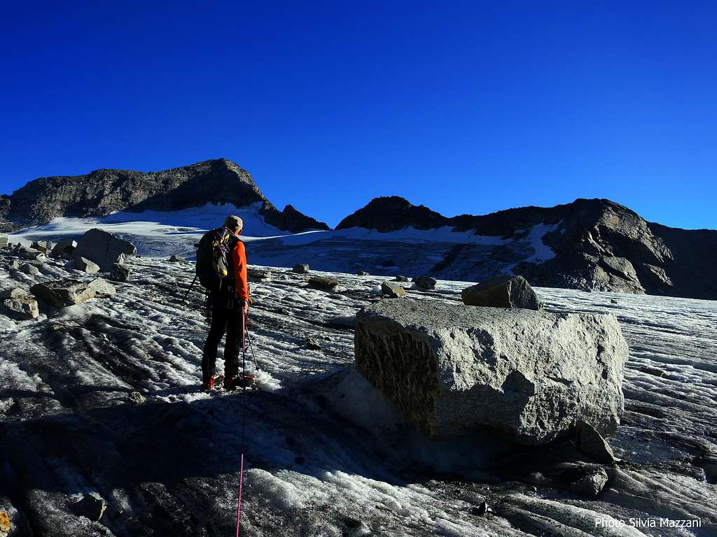 Start of Stampflkees glacier