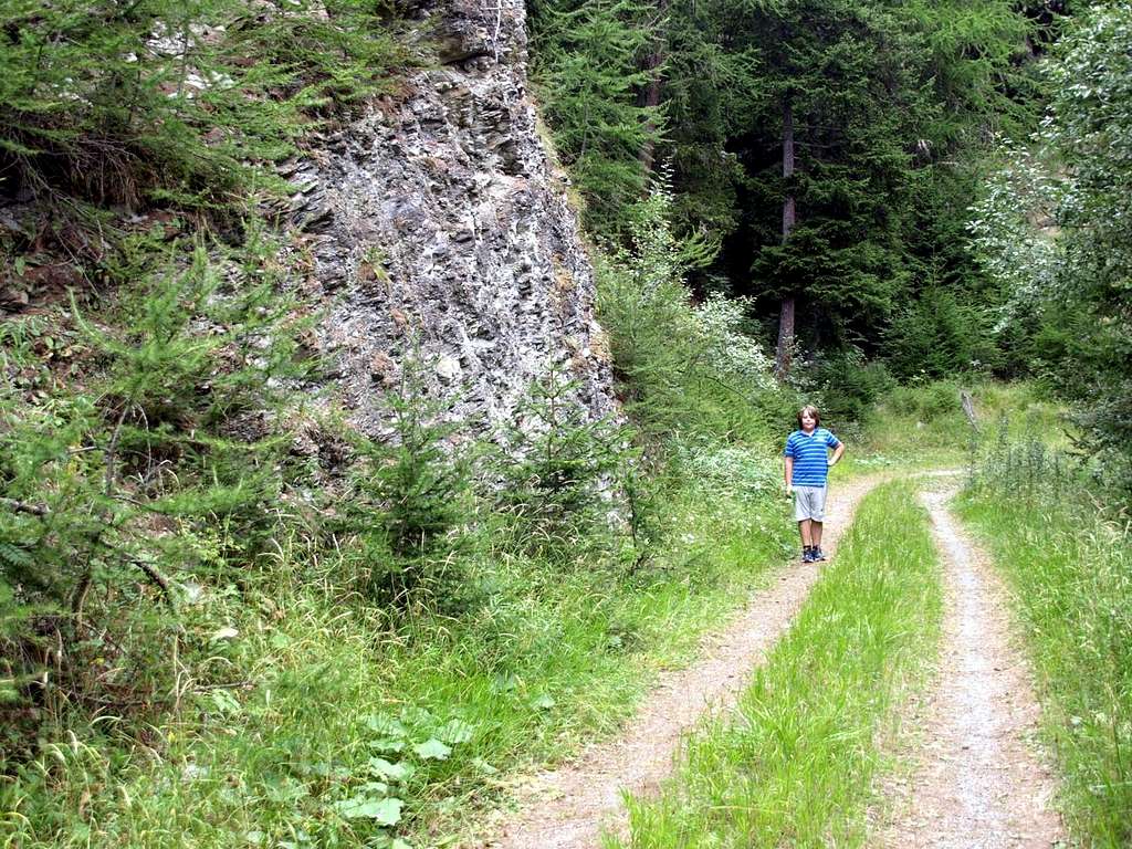 Val Buthier Alternative trail towards Besenval Alp 2016