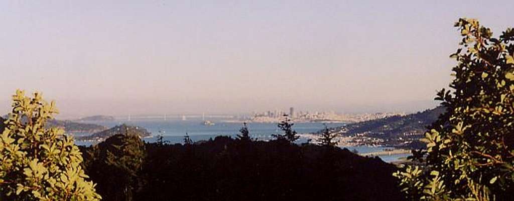 View of San Francisco skyline...