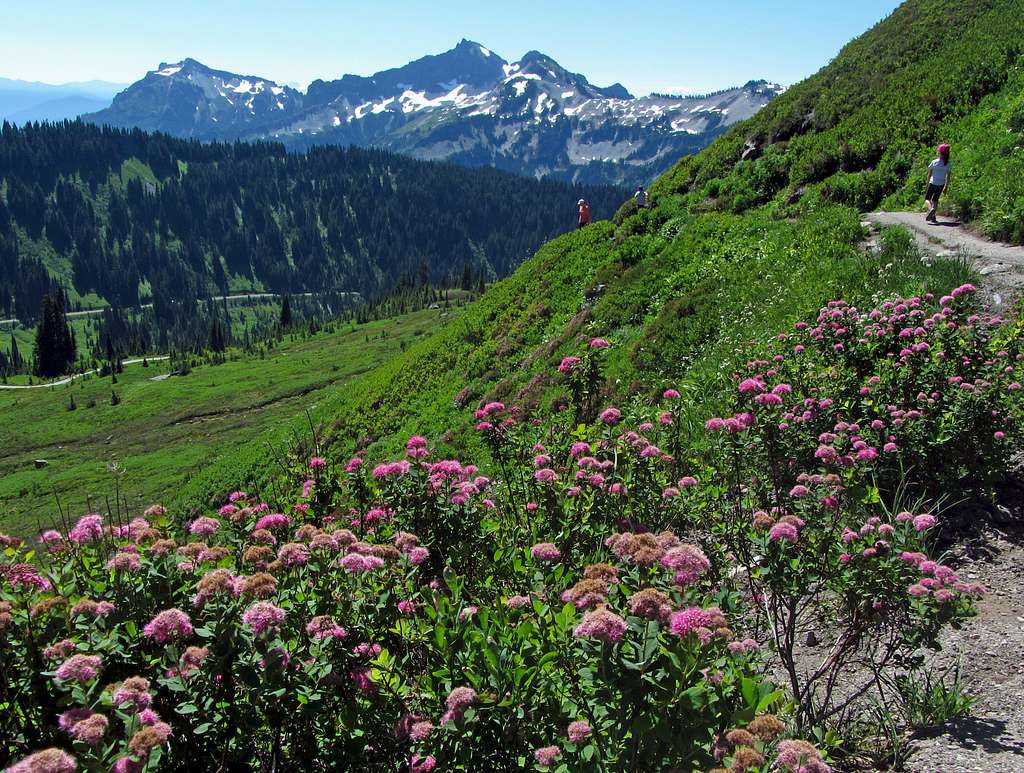 Alta Vista trail