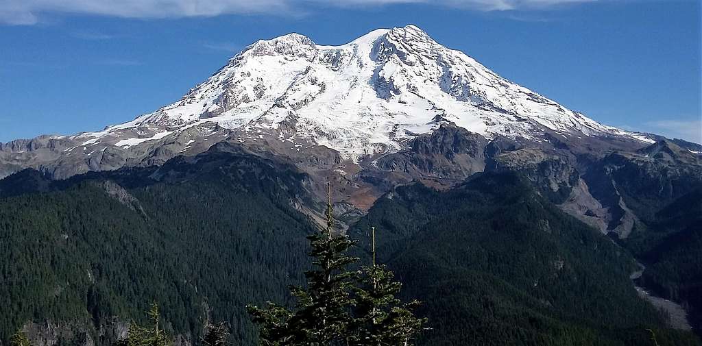 Rainier from the summit of Gobblers Knob