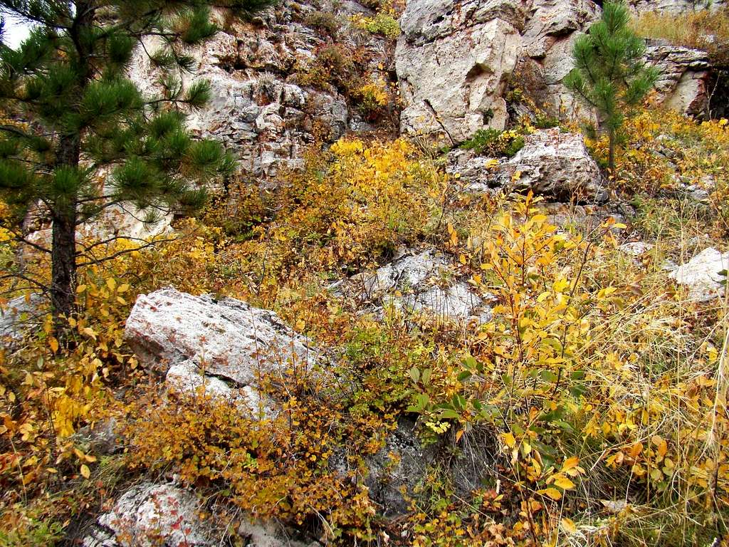 Summit Block Autumn Color