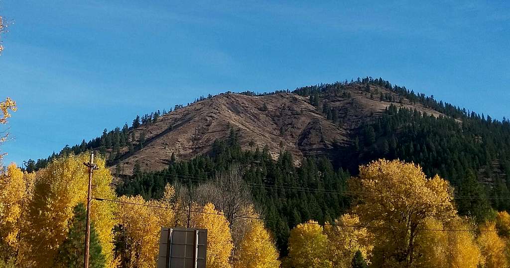 Trees and a peak