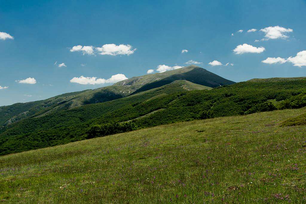 Monte Argatone