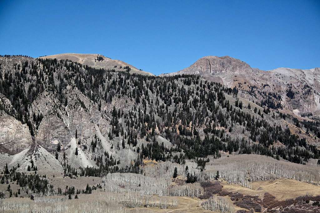 Whipple Mountain and Peak 12311