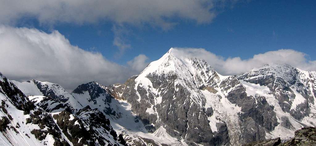 Gran Zebrù seen from the summit of Cima Madriccio