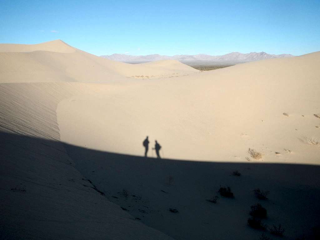 Dune shadows