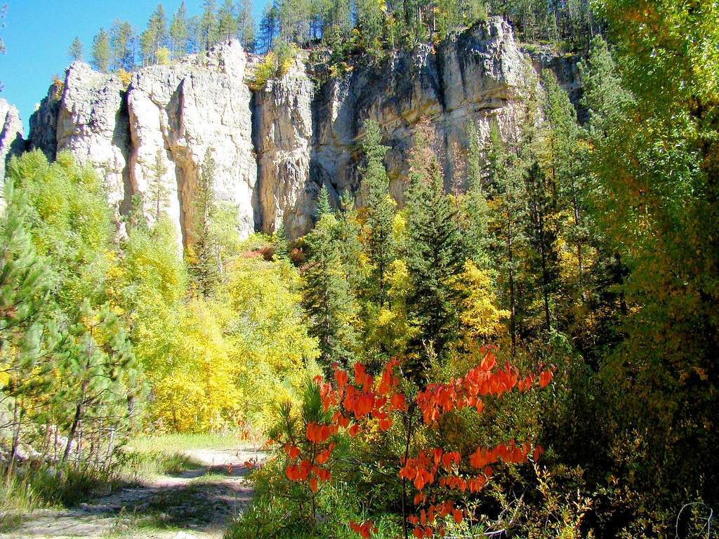 Fall Colors along Iron Creek Trail