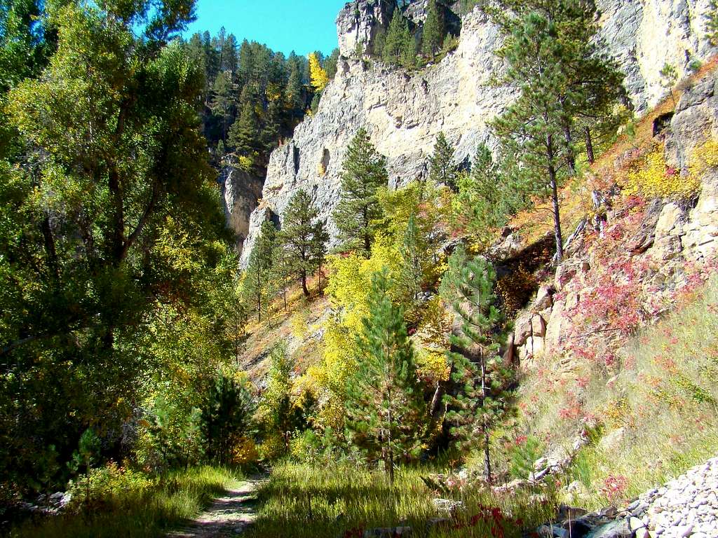 Autumn Along Iron Creek Trail