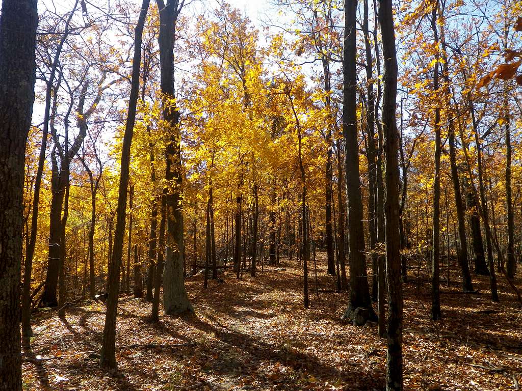 Appalachian Trail Scenery