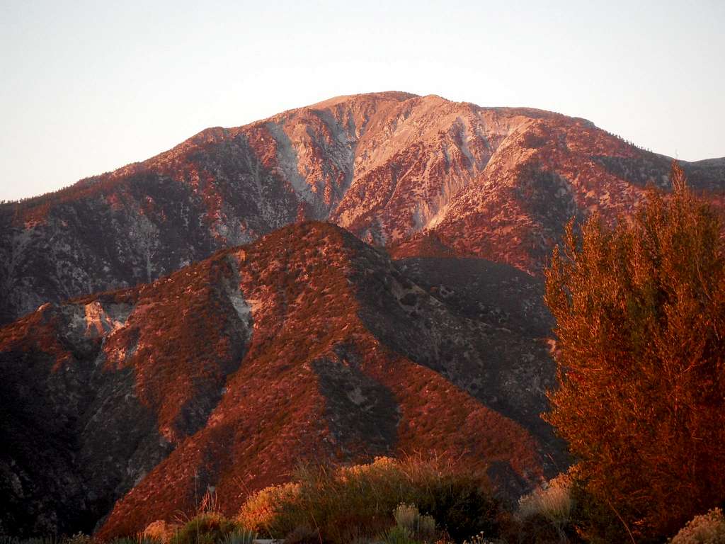 Red Mount Baldy