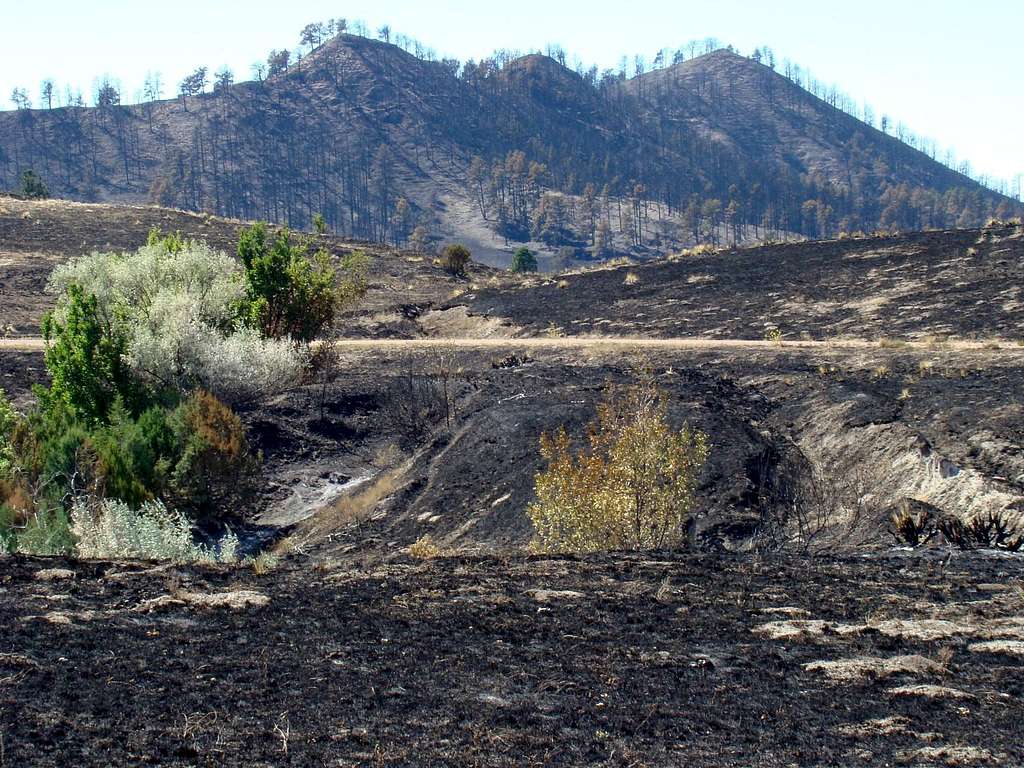 Wright Peak after 2012 Fires