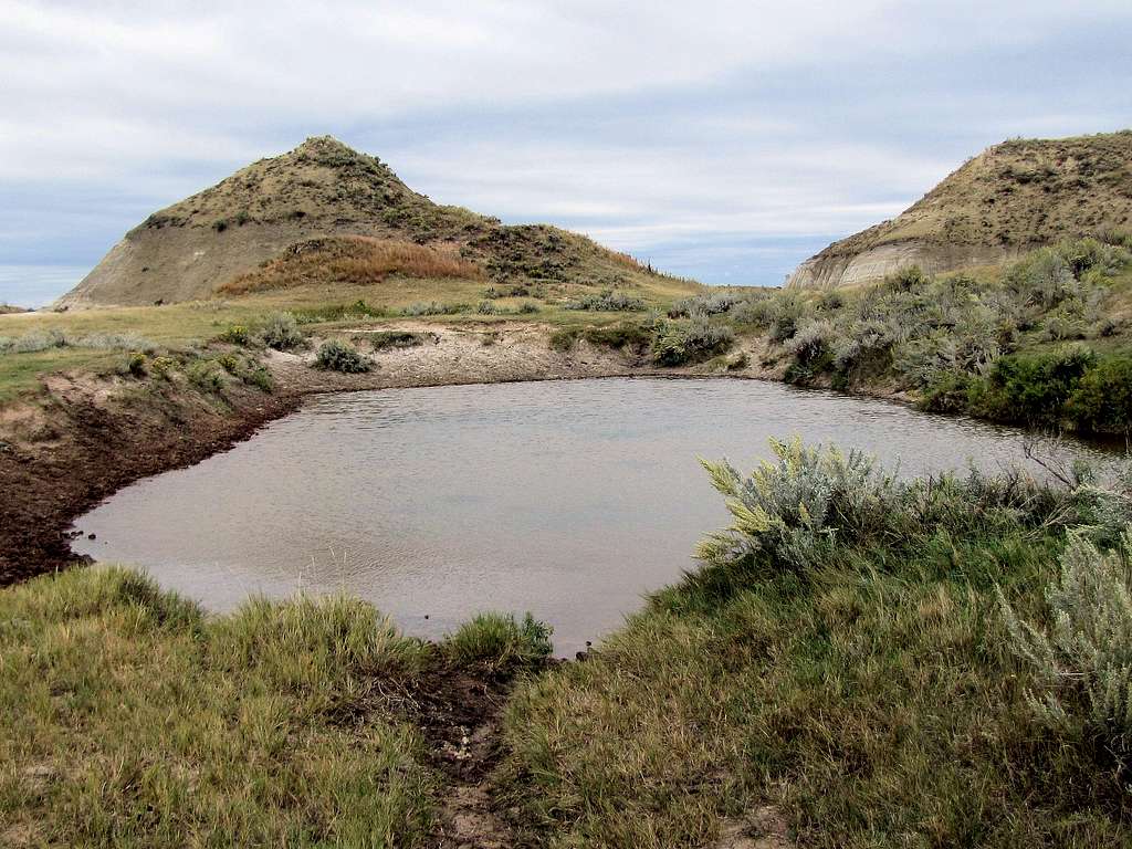 Water hole on Roundup Trail