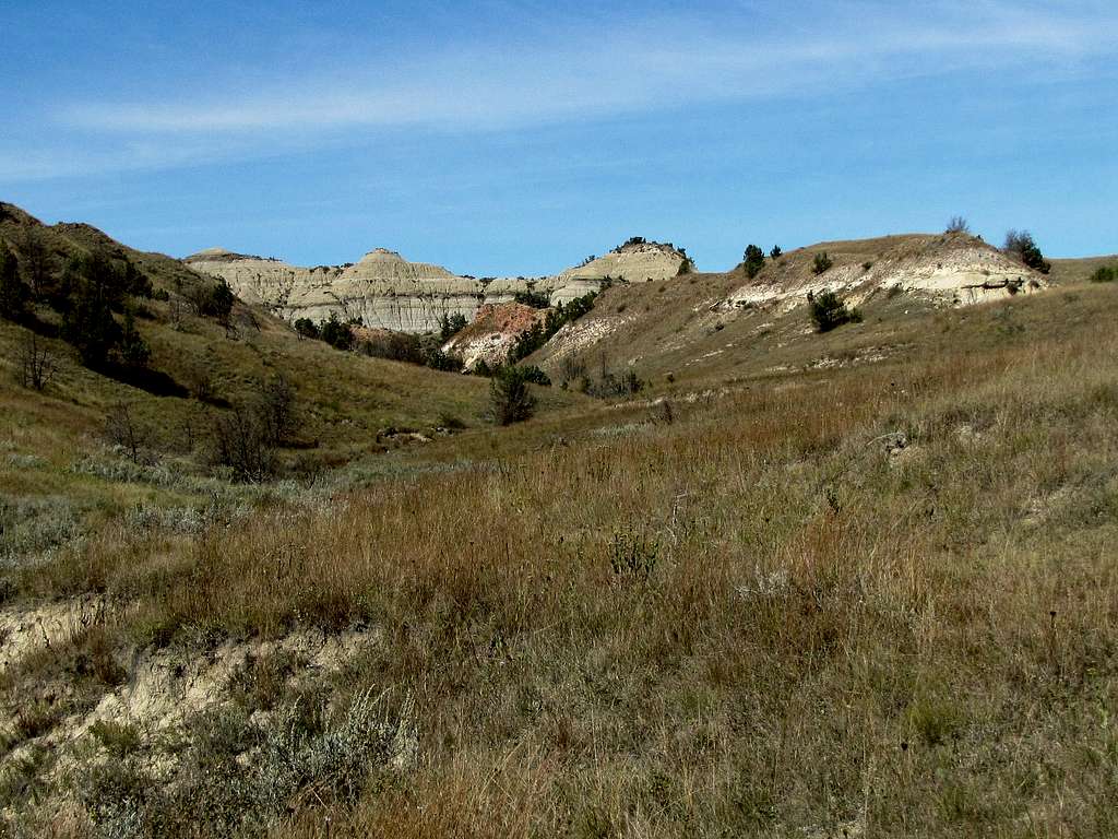 Jones Creek Trail