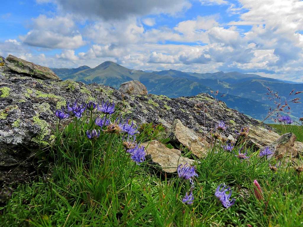 Summer in Nockberge