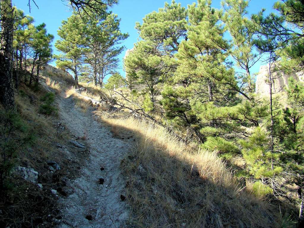 Steep Section of Trail