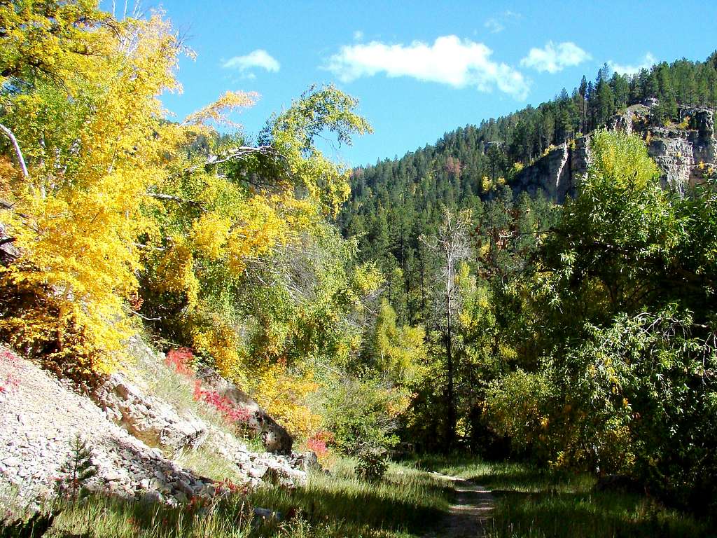 Iron Creek Trail View