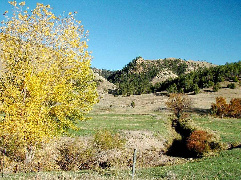 Autumn in the Southern Black Hills
